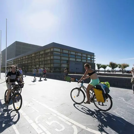 The Collection | Gros San Sebastian